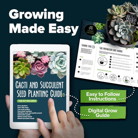 Cactus & Succulent Grow Kit