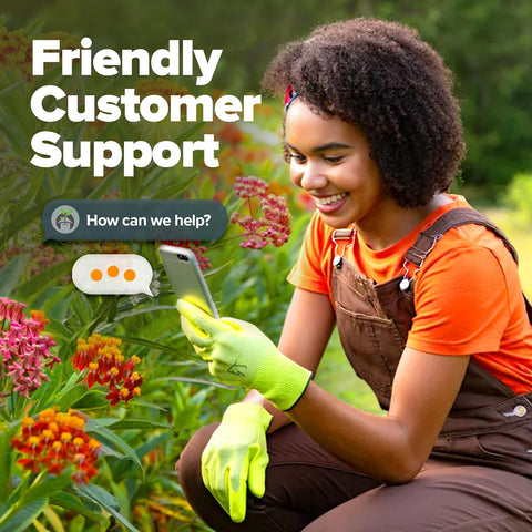 Common Milkweed Seeds – Non-GMO Perennial Wildflower for Monarch Butterflies (Asclepias syriaca)