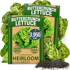 Buttercrunch Lettuce Seed 2 Pack - 3950 Non-GMO Seeds