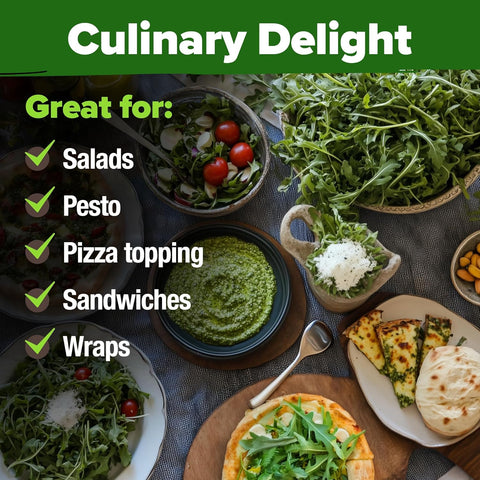 Arugula Seeds – 2,175 Non-GMO Fast-Growing Heirloom Greens for Outdoor & Indoor Gardens