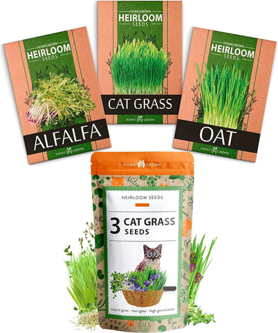 3 Cat Grass Seed Pack - 495+ Cat Grass Seeds