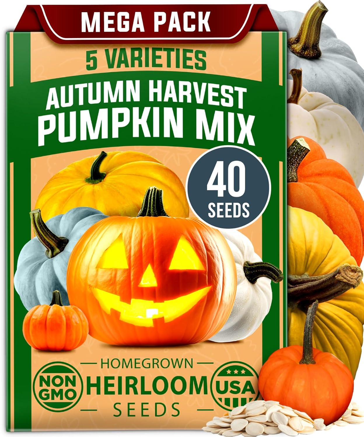 5 Pumpkin Mix Seeds (40 Count) – Premium Heirloom, Non-GMO, Decorative & Edible Varieties – High Nutrition & Rich Flavor