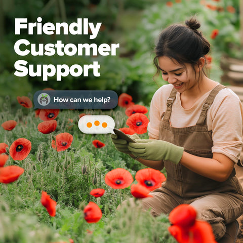 Poppy American Legion Flower Seeds – Heirloom Papaver Rhoeas Variety (6,000 Seeds)