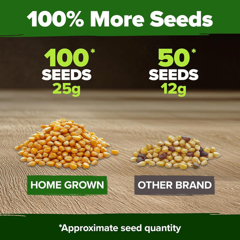 brands of garden seeds Golden Bantam Heirloom Corn Seeds, 100 ct, USA Grown