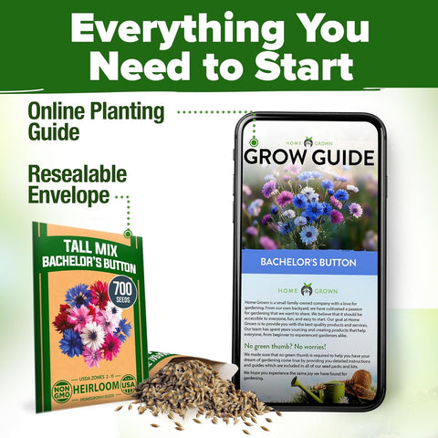 Bachelor’s Button Wildflower Seeds Mix – Fast-Growing, Non-GMO, Pollinator-Friendly (700 Seeds)