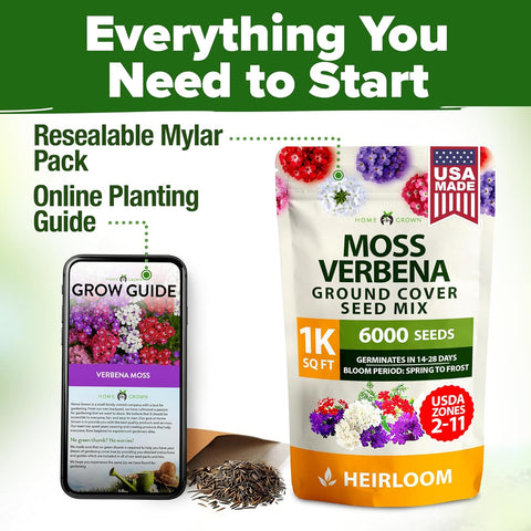 Verbena Seeds – Perennial & Annual Ground Cover Variety (6000 Seeds)