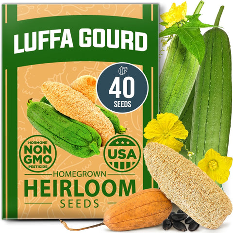 luffa seeds planting Luffa Gourd Seeds, 40 ct, Non-GMO Heirloom
