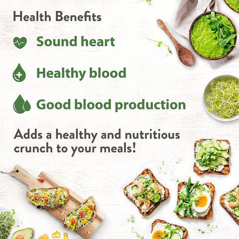 8oz Alfalfa Sprouting Seeds