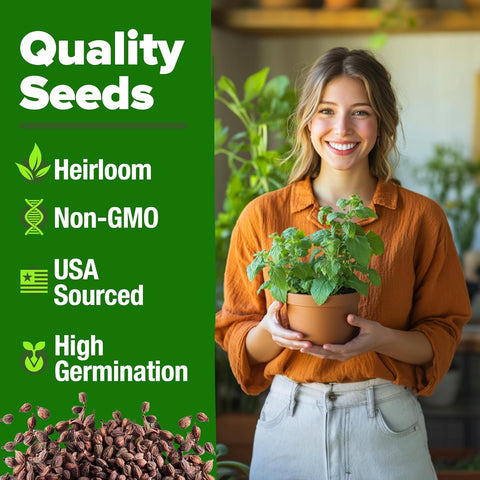 Catnip Seeds for Planting – Premium Non-GMO Heirloom Cat Herb (4,232 Seeds)