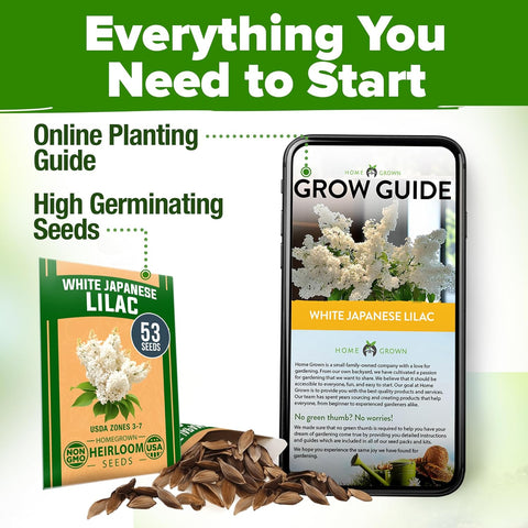 White Lilac Tree Seeds – Non-GMO Heirloom Flowering (53 Seeds)