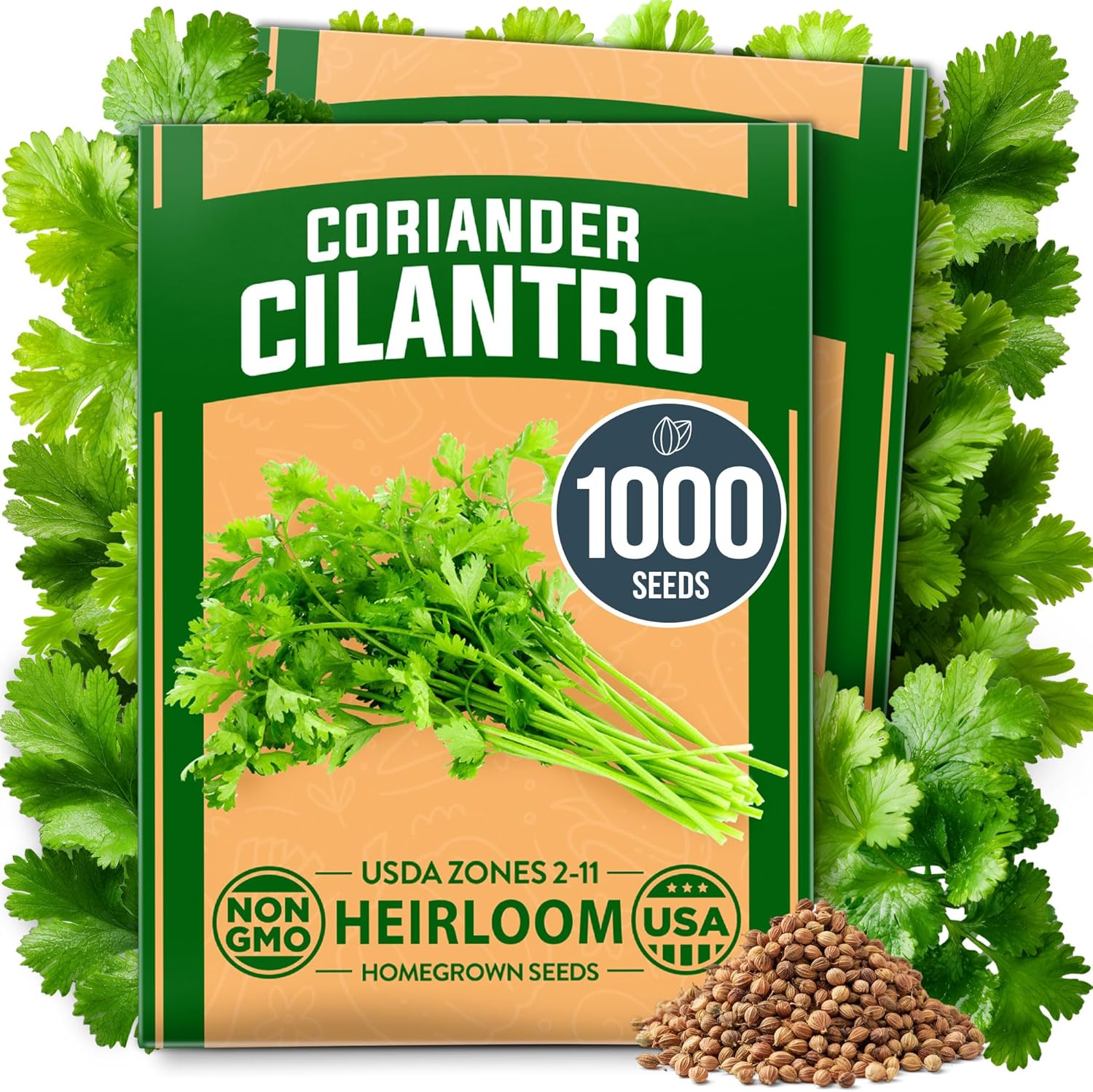 Santo Cilantro Seeds – Organic Non-GMO Coriander Seeds for Planting Indoors & Outdoors, Slow Bolt, 1000+ Heirloom Seeds