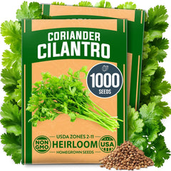 Santo Cilantro Seeds – Organic Non-GMO Coriander Seeds for Planting Indoors & Outdoors, Slow Bolt, 1000+ Heirloom Seeds