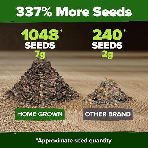 Zinnia Dahlia Seeds (1048 Count) – Premium High-Germination Flower Seeds for Vibrant Blooms, Cut Flowers & Summer Gardens