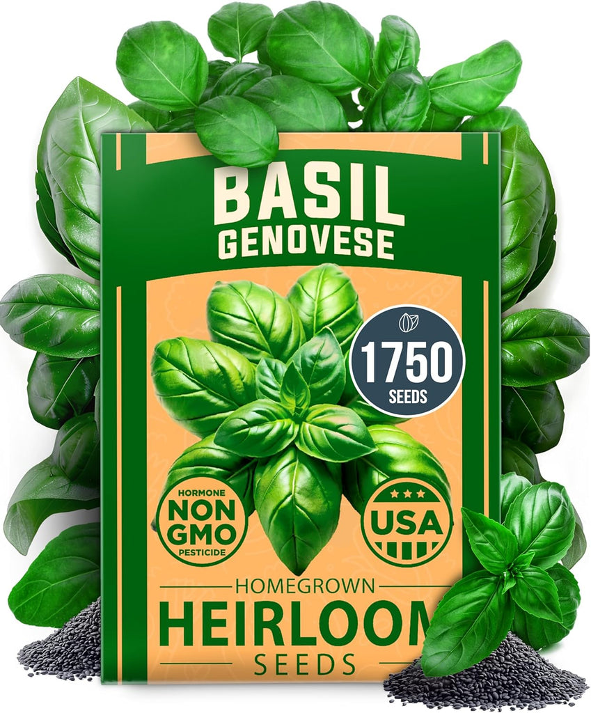 Genovese Basil Seeds – 1750 Non-GMO Heirloom Herb Seeds for Indoor & Outdoor Growing