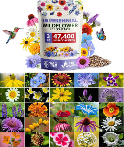 47,400+ Wildflower Seeds Mix – 19 Non-GMO Perennial & Annual Varieties for Pollinator Gardens