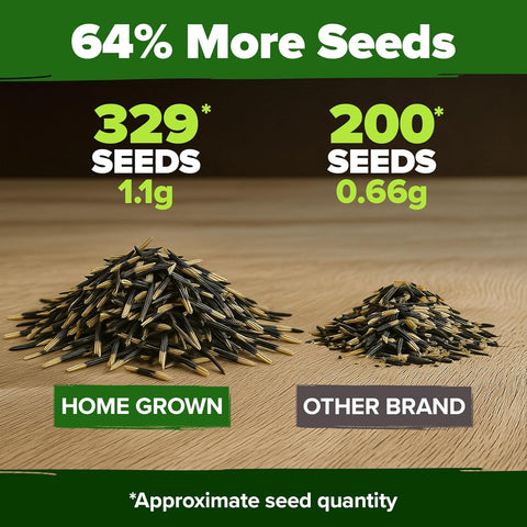 French Petite Marigold Seeds – Fast-Blooming Variety (329 Seeds)