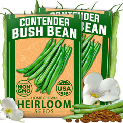 Contender Bush Bean Seeds - (2 Pack)