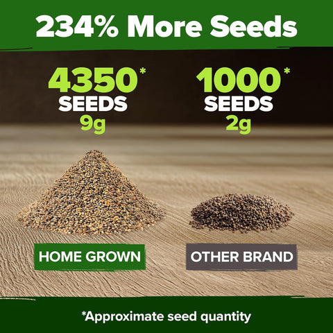Arugula Seeds – 4,350 Non-GMO Heirloom Seeds (2 Pack) for Fast-Growing Garden Greens
