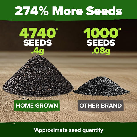 Peppermint Seeds (4,740 Seeds, 2-Pack) – Non-GMO, USA-Grown, High-Germination Herb for Tea, Cooking & Wellness