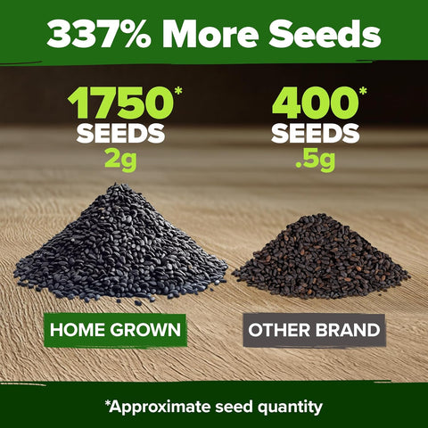 Genovese Basil Seeds – 1750 Non-GMO Heirloom Herb Seeds for Indoor & Outdoor Growing