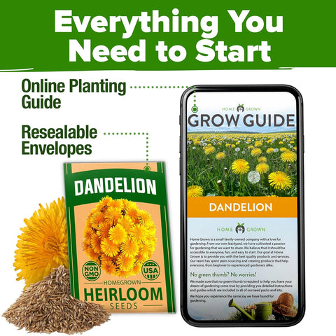 Dandelion Seeds – Heirloom Edible & Medicinal Herb Variety (600 Seeds)