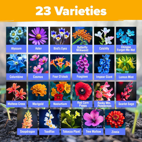 89,000+ Wildflower Seeds Mix – 23 Non-GMO Varieties for Pollinators & Perennial Gardens