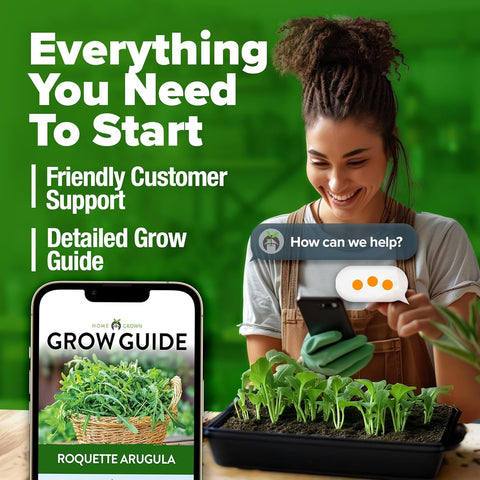 Arugula Seeds – 4,350 Non-GMO Heirloom Seeds (2 Pack) for Fast-Growing Garden Greens