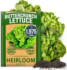 Buttercrunch Lettuce Seed Pack - 1975 Non-GMO Seeds