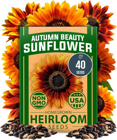 Autumn Beauty Sunflower Seeds – 40 Non-GMO Seeds for Planting, Fast-Growing, Multi-Color Blooms, Pollinator-Friendly Garden…