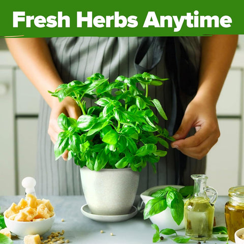 Indoor Herb Garden Starter Kit - (5 Variety)