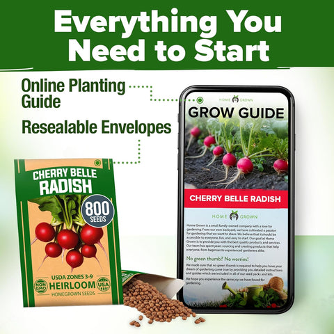 Cherry Belle Radish Seeds – 800+ USA-Grown Non-GMO Heirloom Seeds for Fast 22-Day Harvest