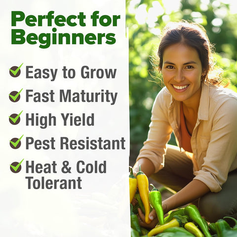 Banana Pepper Seeds – 94 Non-GMO Heirloom Seeds for High-Germination Outdoor Growing