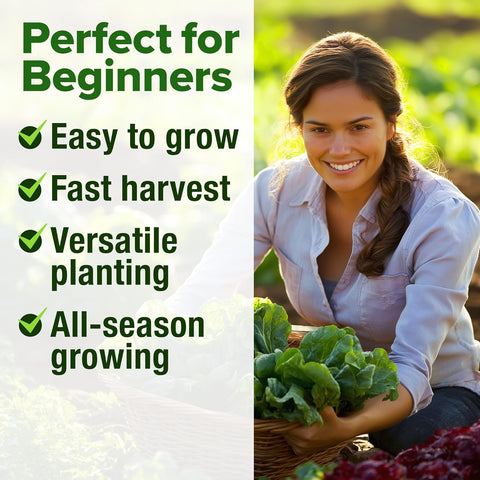 Lettuce Seed Pack – 3950 Non-GMO Heirloom Seeds (5 Salad Varieties)