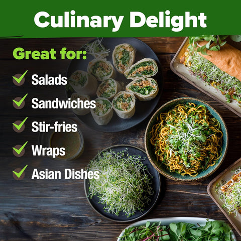 16oz Alfalfa Sprouting Seeds