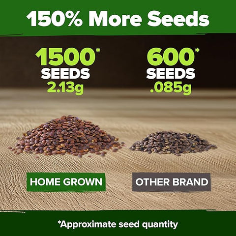 Pansy Mix Swiss Giant Seeds – Heirloom Viola Variety (1,500 Seeds)