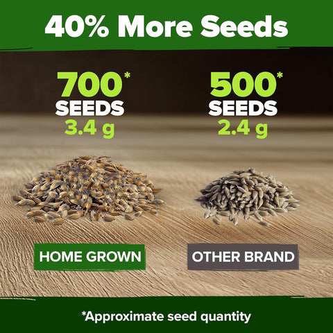 Bachelor’s Button Wildflower Seeds Mix – Fast-Growing, Non-GMO, Pollinator-Friendly (700 Seeds)