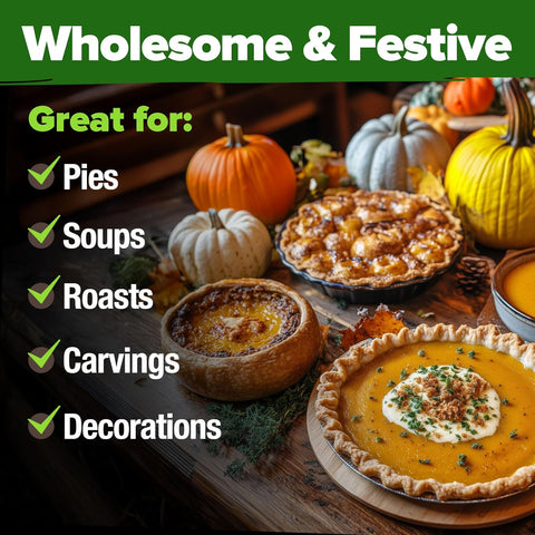 5 Pumpkin Mix Seeds (40 Count) – Premium Heirloom, Non-GMO, Decorative & Edible Varieties – High Nutrition & Rich Flavor