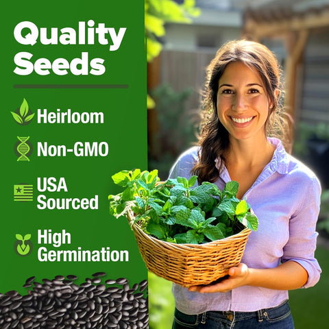 Peppermint Seeds (4,740 Seeds, 2-Pack) – Non-GMO, USA-Grown, High-Germination Herb for Tea, Cooking & Wellness