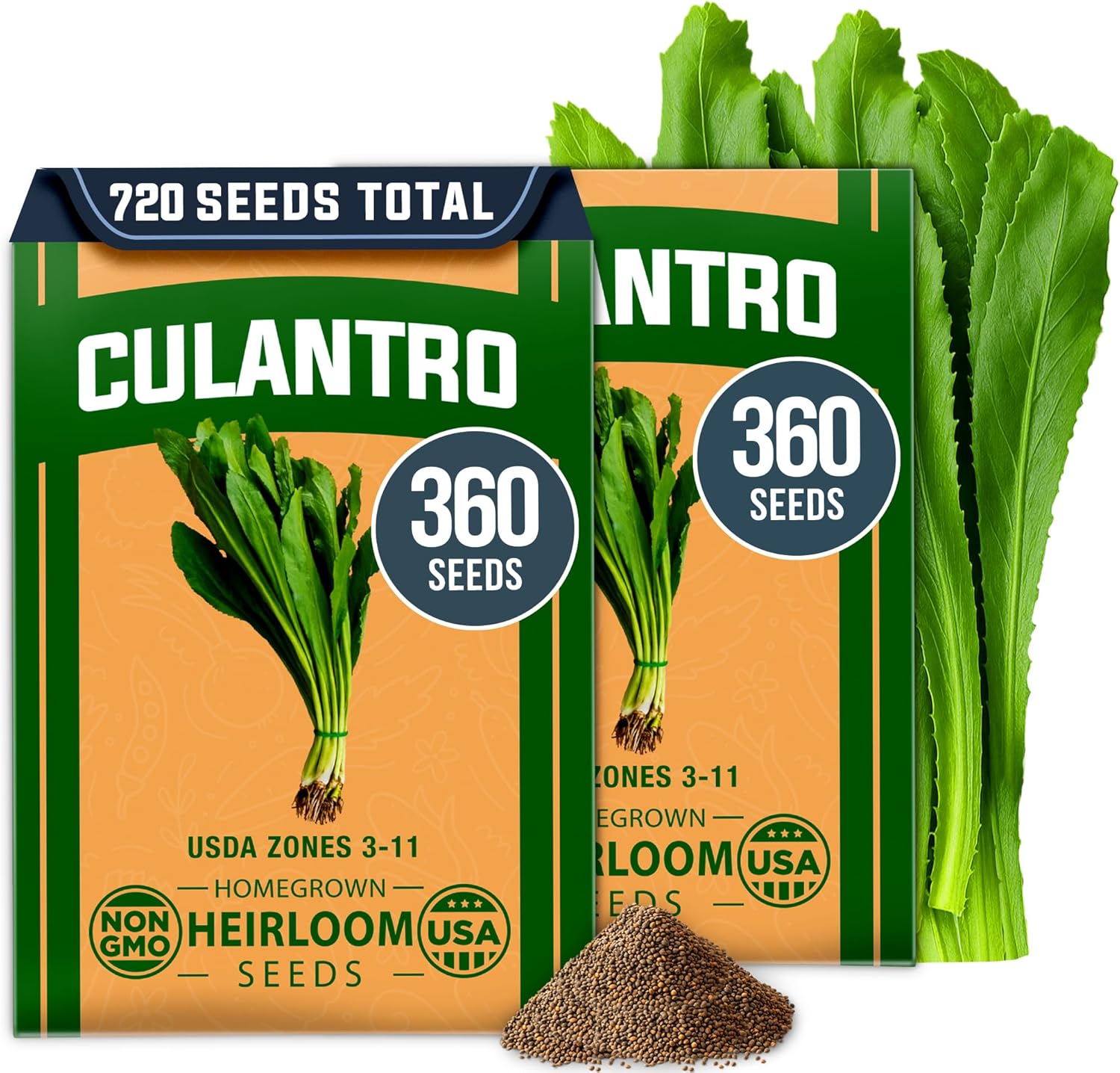 Culantro Seeds – Heirloom Recao Eryngium Foetidum Herb (720+ Non-GMO Seeds)