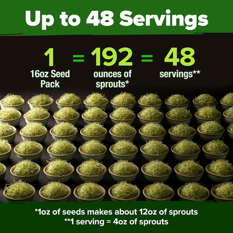 16oz Alfalfa Sprouting Seeds