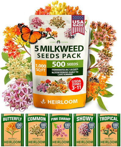 Common Milkweed Seeds – Non-GMO Perennial Wildflower for Monarch Butterflies (Asclepias syriaca)