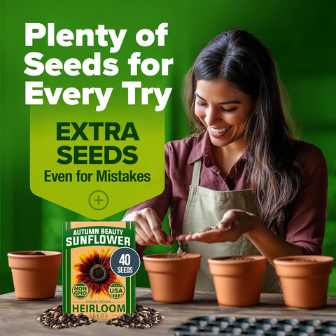 Autumn Beauty Sunflower Seeds – 40 Non-GMO Seeds for Planting, Fast-Growing, Multi-Color Blooms, Pollinator-Friendly Garden…