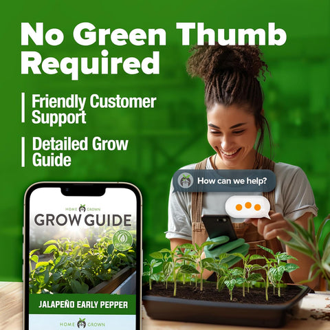 Jalapeño Pepper Seeds – 129+ Non-GMO Heirloom Seeds for Planting (High-Germination, USA-Grown)