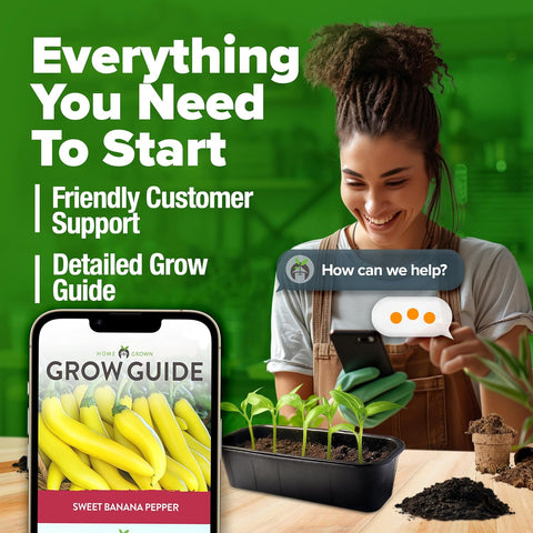 Banana Pepper Seeds – 94 Non-GMO Heirloom Seeds for High-Germination Outdoor Growing