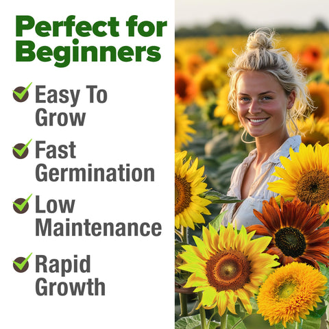 Nine sunflower varieties included in the mix