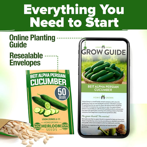 Beit Alpha Persian Cucumber Seeds – 100+ Fast-Growing Non-GMO Seeds