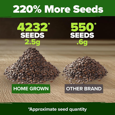 Catnip Seeds for Planting – Premium Non-GMO Heirloom Cat Herb (4,232 Seeds)