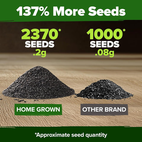 Peppermint Seeds (2370+ Seeds) – Non-GMO, USA-Grown, High-Germination Herb for Tea, Cooking & Wellness