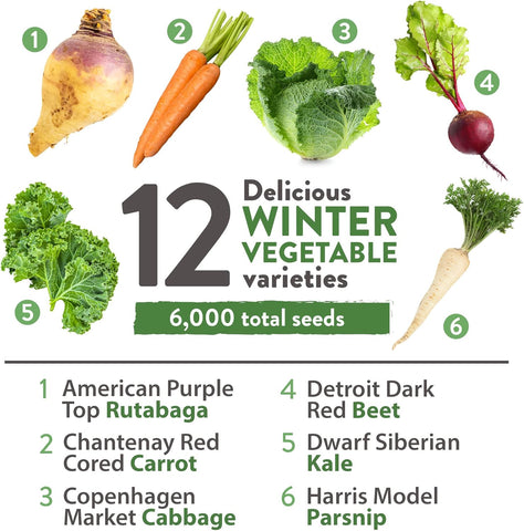 12 Winter Vegetable Seed Pack – Non-GMO, Heirloom Garden Seeds for Cold-Season Growing – High Germination, USA-Sourced Variety Kit