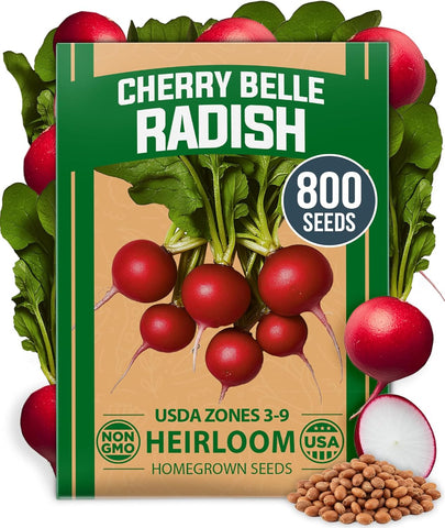 Cherry Belle Radish Seeds – 800+ USA-Grown Non-GMO Heirloom Seeds for Fast 22-Day Harvest